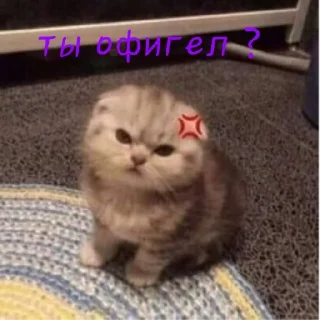 🌟 emoji Котята Telegram sticker 7 of 15