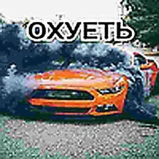 🧆 emoji GarniPansyFiat Telegram sticker 9 of 106