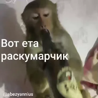 🤪 emoji Брад бибизяна              @stickers_grenka Telegram sticker 5 of 27