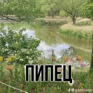 🌟 emoji жопа Telegram sticker 14 of 41