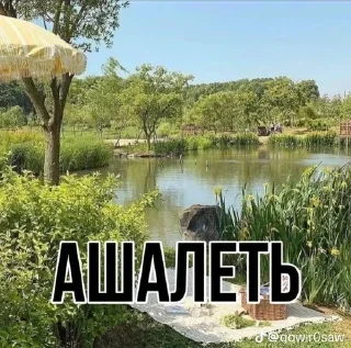 🌟 emoji жопа Telegram sticker 15 of 41