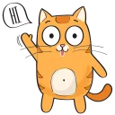 Sticker from Kitten @stickersb2b