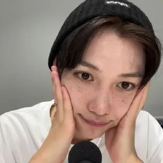 Sticker from |°•felix vlive•°|