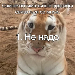 👎 emoji скотобаза Telegram sticker 8 of 30