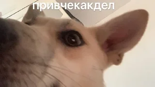 Sticker from данaилиулыбака?