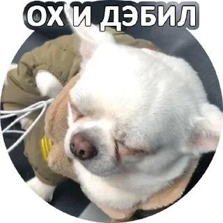 😬 emoji За мат извени👉 @pornostikerys 🔞 Telegram sticker 11 of 29