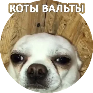 😑 emoji За мат извени👉 @pornostikerys 🔞 Telegram sticker 19 of 29