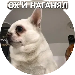 😨 emoji За мат извени👉 @pornostikerys 🔞 Telegram sticker 21 of 29