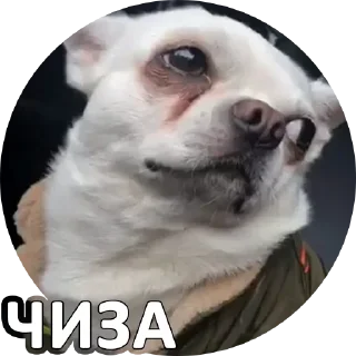 🤔 emoji За мат извени👉 @pornostikerys 🔞 Telegram sticker 12 of 29