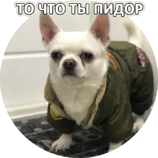 😁 emoji За мат извени👉 @pornostikerys 🔞 Telegram sticker 24 of 29