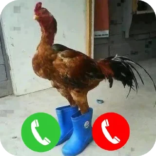🐦 emoji Ипат Telegram sticker 14 of 82