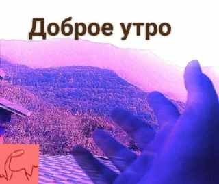 😙 emoji Пипипопа Ксеня Telegram sticker 13 of 22