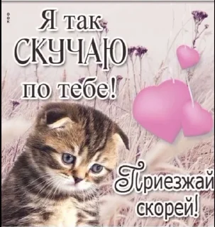 😿 emoji Открыточки Telegram sticker 17 of 51