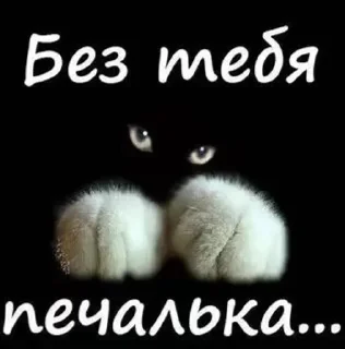 😢 emoji Открыточки Telegram sticker 22 of 51