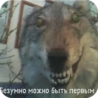 🌿 emoji Линочка стикеры Telegram sticker 5 of 70