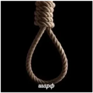 🧣 emoji Чел ёбу дал. Telegram sticker 8 of 119