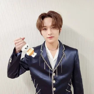 🌟 emoji Я ОБОЖАЮ ЛИ МИНХО Telegram sticker 9 of 65