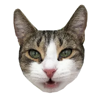 Sticker from Кошка Мята