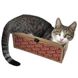 Sticker from Кошка Мята