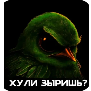 🖼 emoji Птицы Telegram sticker 18 of 98
