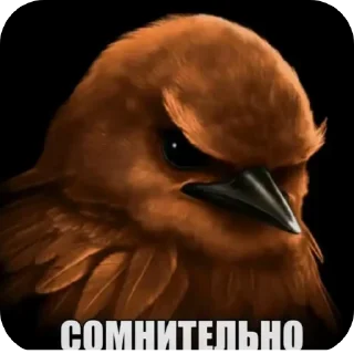 🐦 emoji Птицы Telegram sticker 9 of 98