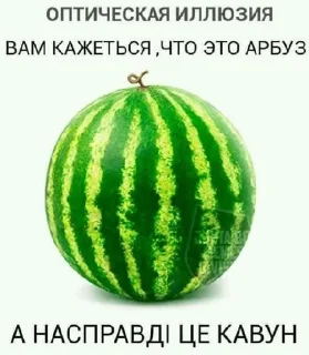 🍉 emoji ukRaine by @rainbowka Telegram sticker 13 of 120