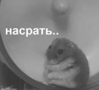 😢 emoji кхьь Telegram sticker 8 of 85