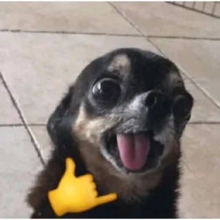 🤙 emoji bemsiki Telegram sticker 15 of 64