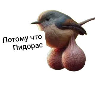 🐦 emoji Яйца Telegram sticker 19 of 48