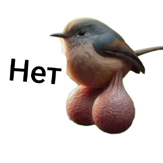 🐦 emoji Яйца Telegram sticker 18 of 48