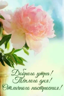 🌷 emoji Открытки бабушки Вари Telegram sticker 24 of 118
