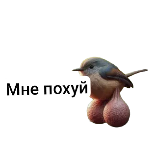 🐦 emoji Яйца Telegram sticker 10 of 48