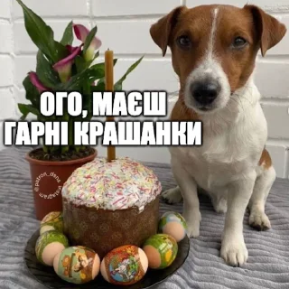 🐇 emoji Партія пса Патрона @patronsobaka Telegram sticker 21 of 78