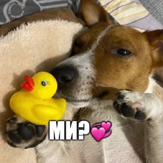 🥰 emoji Партія пса Патрона @patronsobaka Telegram sticker 14 of 78