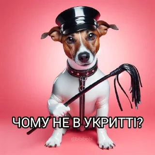 🔴 emoji Партія пса Патрона @patronsobaka Telegram sticker 24 of 78