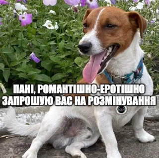 😏 emoji Партія пса Патрона @patronsobaka Telegram sticker 13 of 78