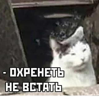 😖 emoji На случай важных переговоров Telegram sticker 14 of 110