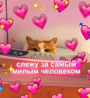 ❤️ emoji @sempai21 Милые котики Telegram sticker 13 of 30