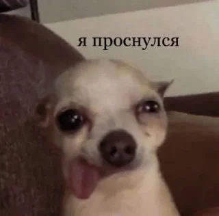 😞 emoji мемы на все случаи жизни Telegram sticker 8 of 32