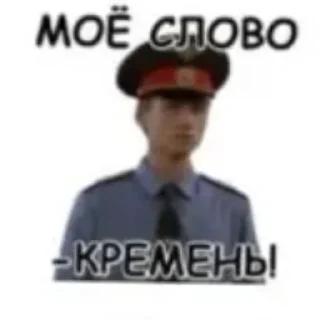 👮‍♂ emoji Deputat | @StikersSell Telegram sticker 17 of 18