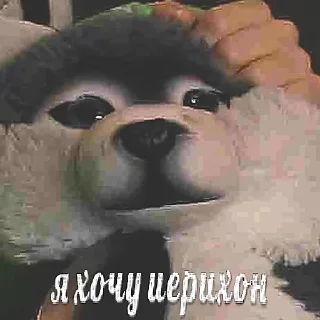 🐕 emoji скотобаза Telegram sticker 10 of 30