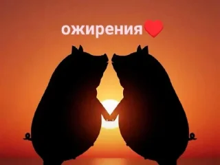 🐷 emoji v1rus_5t1k3r Telegram sticker 10 of 26