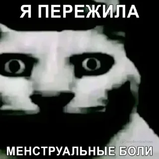 🌟 emoji свэээг Telegram sticker 22 of 84