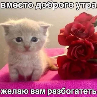 🌟 emoji свэээг Telegram sticker 20 of 84
