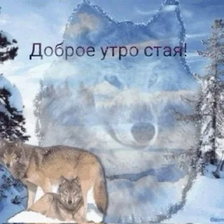 🌟 emoji свэээг Telegram sticker 11 of 84