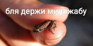 🌟 emoji Для важных переговоров Telegram sticker 24 of 120
