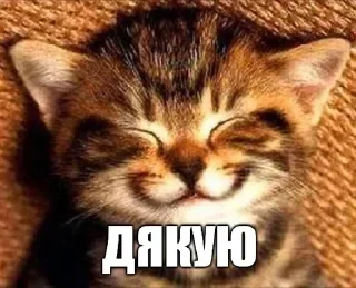 ☺️ emoji @xd333xdd саб^^ Telegram sticker 18 of 42