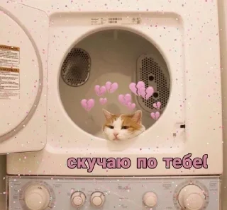 🌟 emoji Милашки💋 Telegram sticker 6 of 30