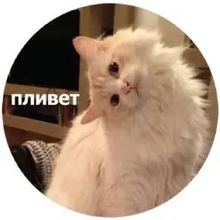 🌟 emoji Милашки💋 Telegram sticker 5 of 30