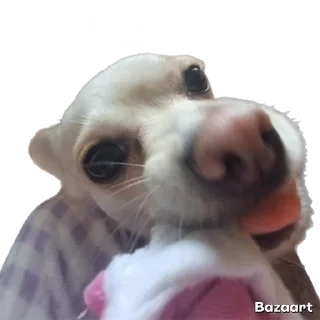 🌟 emoji Писюльки Telegram sticker 5 of 23